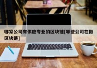 哪家公司有供应专业的区块链[哪些公司在做区块链]